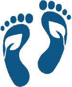 Reducing Carbon Footprint