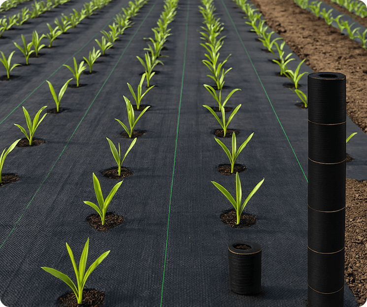 Manufacturer Company